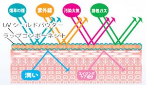 ホシケミカルズ データ取得済みの多機能UVケア商材を開発 6 img_58526_3
