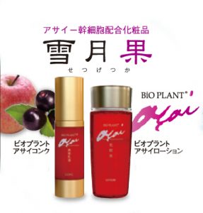 アメニティ『アサイーコスメ』を新発売 3 07FM_アメニティ_05 (1)のコピー