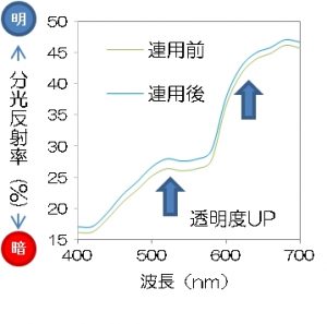 フラーレン「たるみ改善」を臨床試験で確認 9 sub2