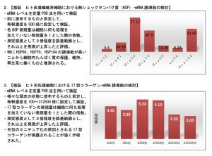 『開墾水®』が毛穴のミニチュア化を保護 8 HSP2