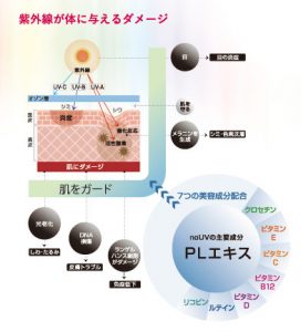 ウィズ・アス 「飲む日焼け止め」を新発売 5 sub3