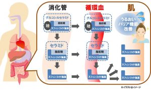 資生堂『こんにゃくに美容効果』 8 3a4f695a458cb0ac0aceaa2eb13ac2dd 1