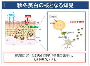 資生堂、美白ケアサイト『秋冬美白応援団』を開設 6 d5794-647-559377-3
