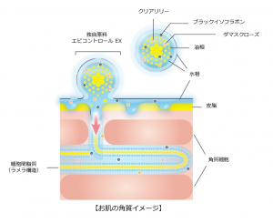 ミュゼ「抑毛効果のある独自原料」を開発 7 bfad9bb8c9939d0f2e8f846d2fabf22a 1