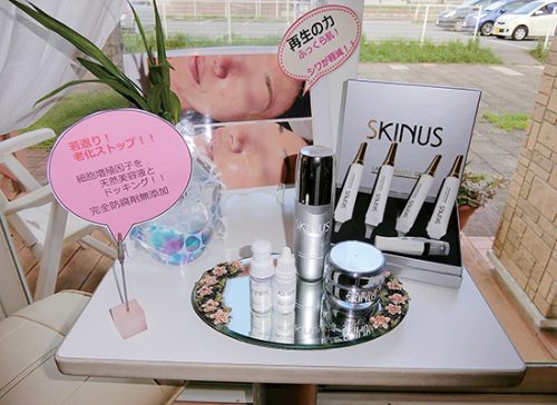 salontool skinus02