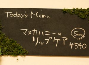 オプション研究 1 私はこうして成功した! 8 salonwork optionmenu2017 mars9
