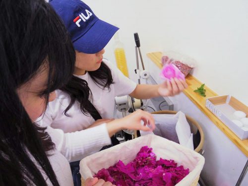 山野美容芸術短期⼤学とフルーツルーツ「オーガニックコスメプロジェクト」始動 8 column news 20180615 fruitsroots 4