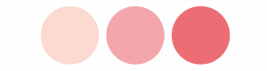 salontool cosme2019 2 color cheek