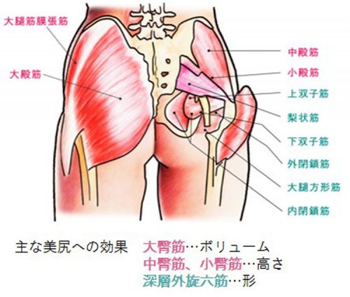 お尻の鍼が話題!冷えを予防する美尻鍼コースとは? 6 column news 20190129 cizlabo 01