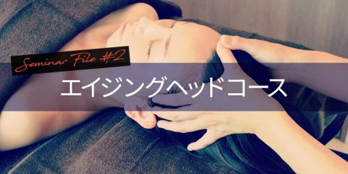 salonwork technicstudy 201709lymph thmbnail