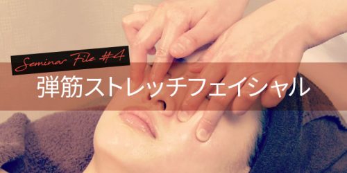 salonwork technicstudy 201710cbs thmbnail