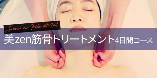 salonwork technicstudy 201804vivace thmbnail