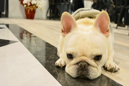 美容点滴をしながらネイルができるBE-WAVE新社屋 内覧会レポート! 18 column news 20190312 bewave 0665