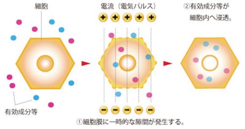 <フェイシャル複合機>マキシマムフォーだけで開業も可能な多機能 22 salontool machinebest11 2019 toyookaB theory02