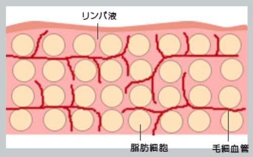 <RF痩身機器>癒しと結果の両方をかなえるハイパーナイフ 20 salontool machinebest11 2019 wamu theory1