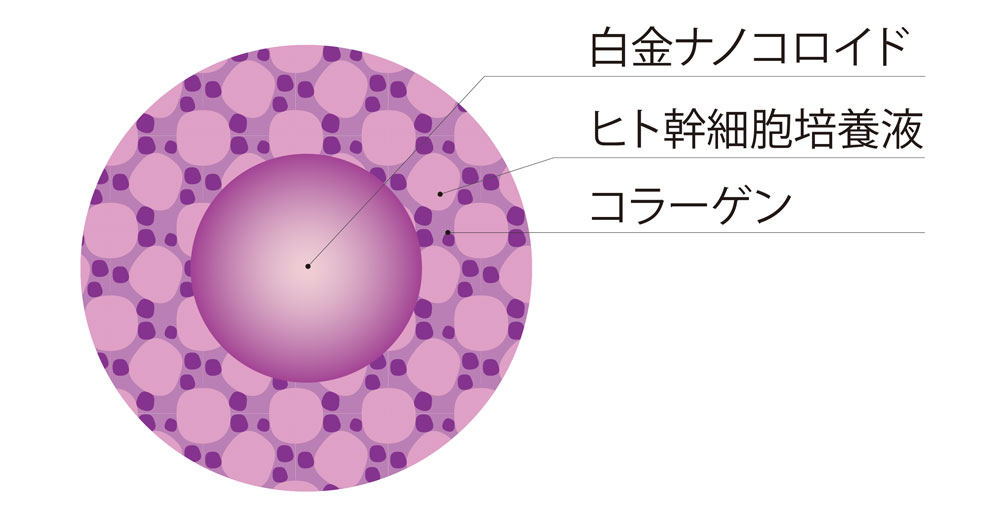 白金ナノコロイドヒト幹細胞エキスなど、ポイントピュールの研究開発に注目 8 column news 2019621 pointpyuru illust