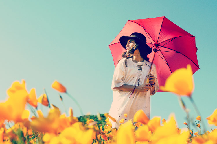紫外線最新情報2019!プロが知るべきUV対策 16 special uv2019 parasol