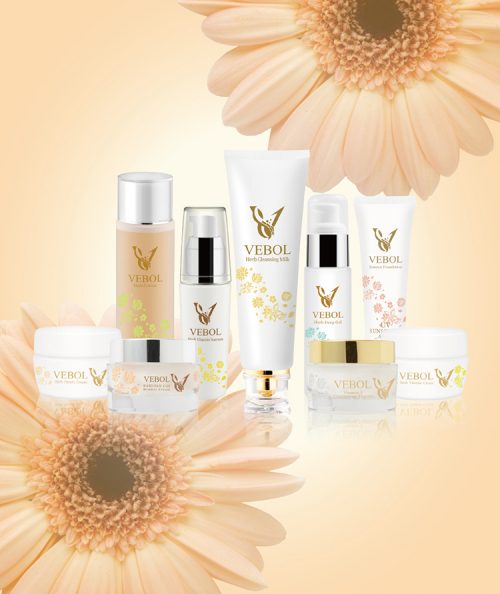 12VEBOL