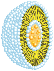 3c2a6ae022fd3df2043f95964b5c22c8