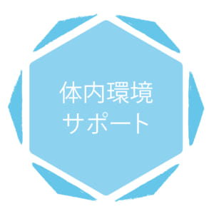 078a0595e56f1fd5293fe646c3c1fe08