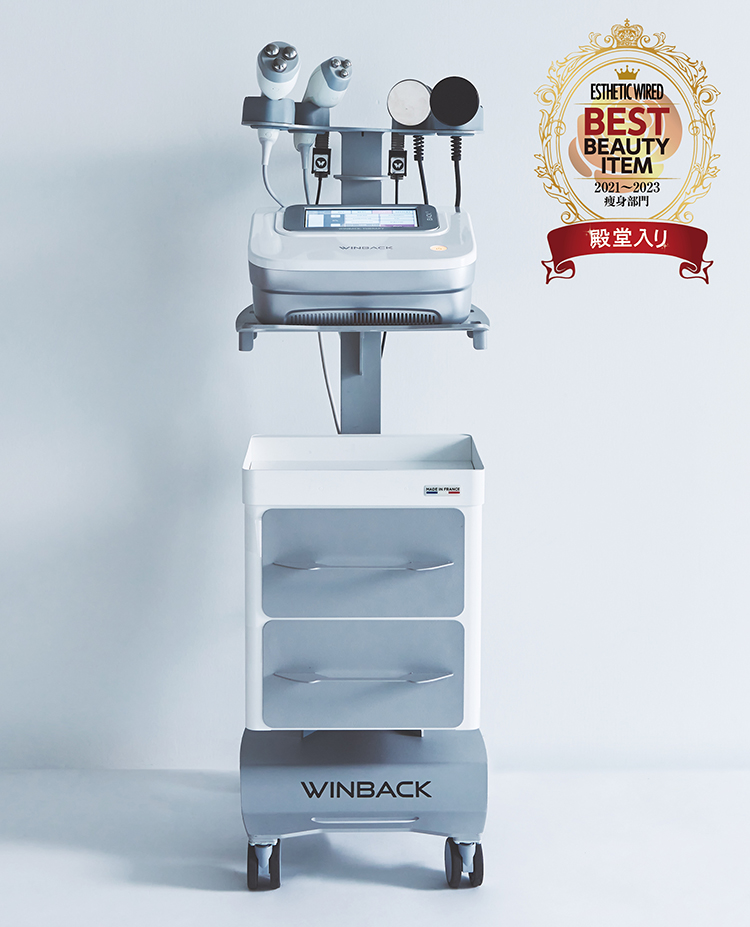 BEST ITEM 2023 特別編 殿堂入り2023 92 P50 WINBACK 3SE