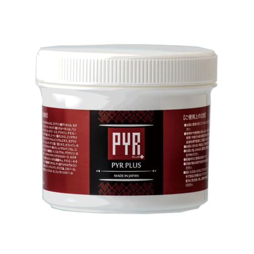 04 03 PYR
