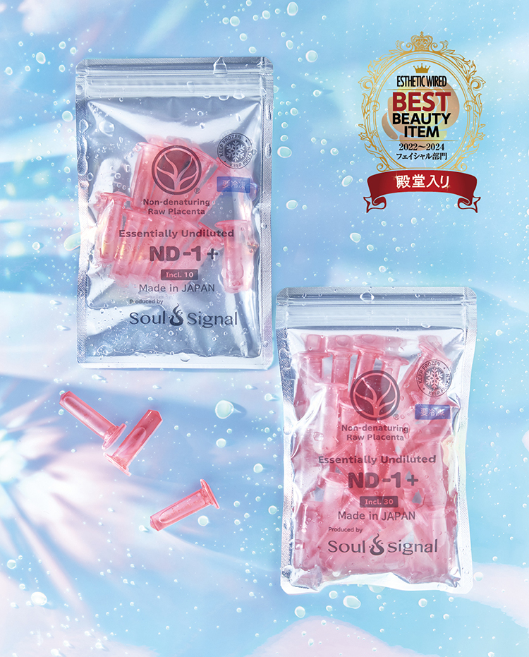 BEST ITEM 2024 特別編 殿堂入り2024 68 16ND 1