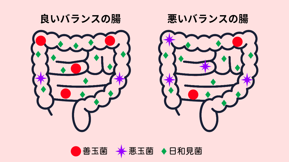 腸内細菌バランス図