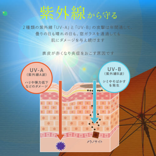 【サロン品質のUVケア】デマレラグジュアリーカラーコントロールUVが叶える「攻め」の美肌と「見違える」仕上がり 18 de250421 03