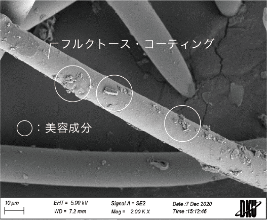 韓国発・皮膚科学ブランド「tHermoCEUTICAL(サーモシューティカル)」が日本上陸。 16 フルクトース・コーティング技術の解説画像