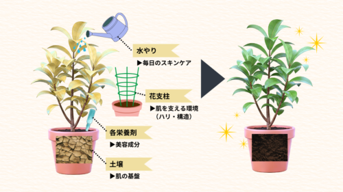 1台10役の業務用機器!水玉リフティング導入でエステサロンの満足度と客単価を劇的アップ 12 15